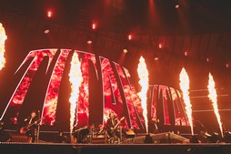 ꡼ No.050Υͥ / Υҥǲͥ꡼ʤɤ줿THE PRIMALS Live in Japan - Darkest Before Dawnץݡ