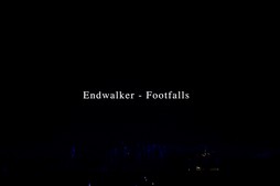꡼ No.054Υͥ / Υҥǲͥ꡼ʤɤ줿THE PRIMALS Live in Japan - Darkest Before Dawnץݡ