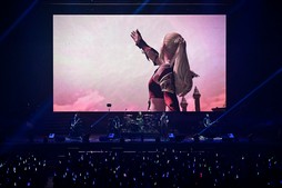 ꡼ No.057Υͥ / Υҥǲͥ꡼ʤɤ줿THE PRIMALS Live in Japan - Darkest Before Dawnץݡ