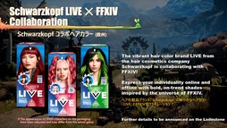 ꡼ No.125Υͥ / ƥġǰŰǤαƮפϱĥफΥꥹޥץ쥼!?84 FFXIV ץǥ塼쥿LIVEפͤϤ