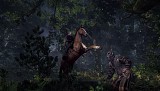 ꡼ No.009 | The Witcher 3: Wild Hunt