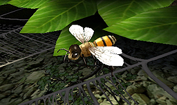 画像ギャラリー No.007のサムネイル画像 / 稲船敬二氏が手がけた「GUILD02」第2弾「虫けら戦車」は,ミクロな戦車部隊が巨大な虫達を相手に戦う作品。“どん判”な「GUILD01」連動特典アリ