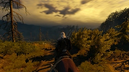 ꡼ No.039Υͥ / ʤ18ͰʾʤФ˥ץ쥤٤ܡǥꥢʡͤRPGɡ֥å㡼3 磻ɥϥȡפΥץ쥤ݡȤϤ