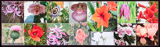 ���������꡼ No.007�Υ���ͥ������ / GPU���㤨�Ф��������Ǥ��롩 2017ǯ��AIʬ��ˤ�����NVIDIA�����礷��Jensen Huang��ˤ��GTC Japan 2017��Ĵ�ֱ��ݡ���