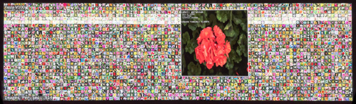 ���������꡼ No.008�Υ���ͥ������ / GPU���㤨�Ф��������Ǥ��롩 2017ǯ��AIʬ��ˤ�����NVIDIA�����礷��Jensen Huang��ˤ��GTC Japan 2017��Ĵ�ֱ��ݡ���