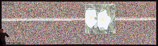 ���������꡼ No.009�Υ���ͥ������ / GPU���㤨�Ф��������Ǥ��롩 2017ǯ��AIʬ��ˤ�����NVIDIA�����礷��Jensen Huang��ˤ��GTC Japan 2017��Ĵ�ֱ��ݡ���