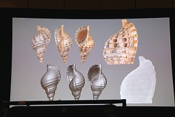 ���������꡼ No.033�Υ���ͥ������ / ��GDC 2013��MGS5��¸������FOX ENGINE�ס��Ĥ������餫�ˤʤä������奲���२�󥸥��������ԡ�