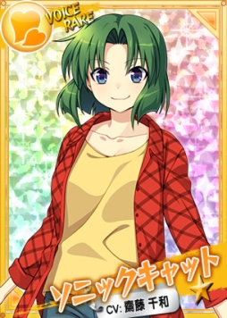 画像ギャラリー No.002のサムネイル画像 / 「リングドリーム 女子プロレス大戦」,音速ヒロイン「ソニックキャット」の新デザインが実装