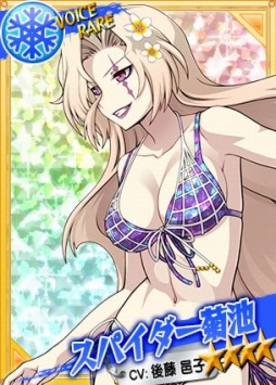 画像ギャラリー No.007のサムネイル画像 / 「リングドリーム 女子プロレス大戦」,「スパイダー菊池」が新デザインで登場