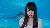 AKB1/149 恋愛総選挙