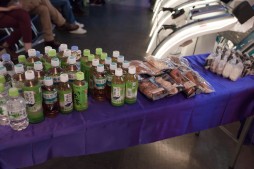 画像ギャラリー No.004のサムネイル画像 / 「ウルIV」×「ガンスト2」の異色のコラボ。ウメハラ&ポッポ小学校チームが圧倒的な強さを見せた「桜花乱舞杯」フォトレポート