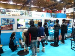 ꡼ No.021Υͥ / ǿबȤʤ֥ץե2014ץݡȡ˥åǤŷƲݥSCEʤɡץ֡Ҳ