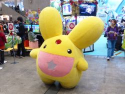 ꡼ No.032Υͥ / ǿबȤʤ֥ץե2014ץݡȡ˥åǤŷƲݥSCEʤɡץ֡Ҳ