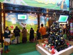 ꡼ No.048Υͥ / ǿबȤʤ֥ץե2014ץݡȡ˥åǤŷƲݥSCEʤɡץ֡Ҳ