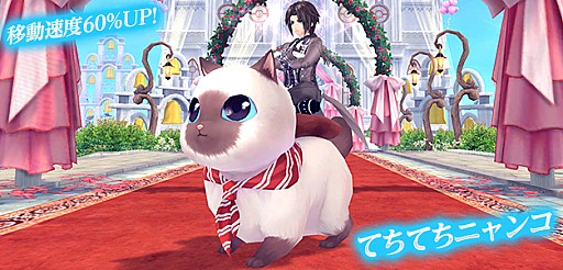 画像ギャラリー No.007のサムネイル画像 / 「幻想神域 -Cross to Fate-」,カードバトルに新カードを追加する拡張アップデートを3月7日に実施。女性用の新衣装と乗り物「てちてちにゃんこ」が登場