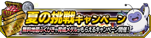 画像ギャラリー No.008のサムネイル画像 / 「DQM スーパーライト」,真夏のピサロらをラインナップした夏限定ふくびきを開催