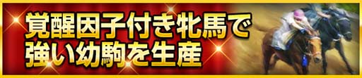 ꡼ No.002Υͥ / 100ͤWinning Postץ꡼11ǯǰڡ󳫺