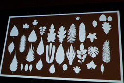 ꡼ No.010Υͥ / GDC 2015ϡ֥ƥȤŵӤ̴򸫤뤫סNo Mans SkyפΥƥȤץ륢Ȥκ