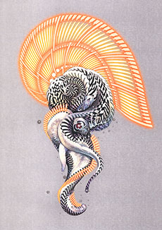 ������#003�Υ���ͥ���/�֥ǥ���󥹥ȡ��꡼�������С����륥�����ס���Ʈ��Ϣ�Υ����ƥब������̡��ȡ�����ݿͻ�ǥ�����Υ��꡼���㡼���о�