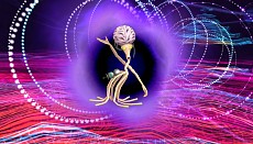 ������#018�Υ���ͥ���/�֥ǥ���󥹥ȡ��꡼�������С����륥�����ס�ʪ��Υ����򰮤��EDEN�ɸ����פξ���ȡ�����������Ȥʤ�ͥåȥ�����󥸥��γ��פ�������