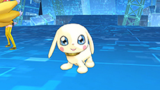 ������#023�Υ���ͥ���/�֥ǥ���󥹥ȡ��꡼�������С����륥�����ס�����ư�褬�꤬����CG�ࡼ�ӡ��ΰ������åȤ������ˡ���Ǿ���֤β��إ��ꥢ�˴ؤ�������