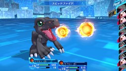 ������#003�Υ���ͥ���/�֥ǥ���󥹥ȡ��꡼ �����С����륥������ͽ�����������Ƚ����ŵ�����졼�ɥ��åפ��뤳�Ȥ�����