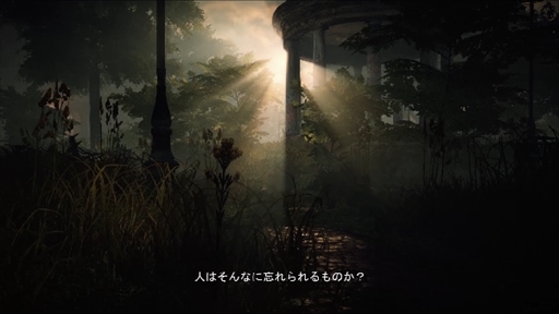 ɥȡ꡼ȥ쥤顼3ơI'm in