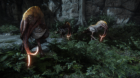 ���������꡼ No.003�Υ���ͥ������ / ���оη������̥�Ϥ�Ž̤�����Evolve�פΥ�������ȥ쥤�顼�����������ä����İ����Ƥ���������16����Υޥå׾�������餫��