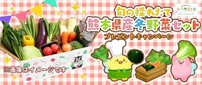 画像ギャラリー No.001のサムネイル画像 / 「ハッピーベジフル」,「熊本原産冬野菜セット」プレゼントキャンペーンを実施