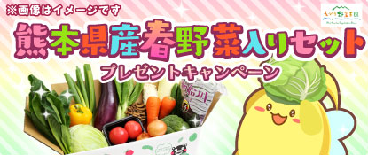 画像ギャラリー No.001のサムネイル画像 / 「ハッピーベジフル」,「熊本県産春野菜入りセット」プレゼントキャンペーン実施