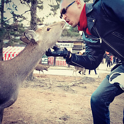 画像ギャラリー No.004のサムネイル画像 / マフィア梶田の二次元が来い!:第437回「ぼぎわんが来る2018年の延長戦」