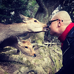 画像ギャラリー No.005のサムネイル画像 / マフィア梶田の二次元が来い!:第437回「ぼぎわんが来る2018年の延長戦」