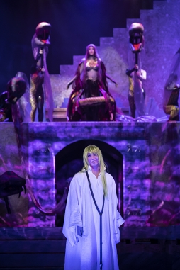 ���������꡼ No.010�Υ���ͥ������ / �ѵҤ⥦�륯�γ��ΰ���ˤʤä�������Fate/Grand Order THE STAGE -����������� �Хӥ��˥�-�� ���ͥץ���ݡ���