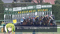 ���������꡼ No.010�Υ���ͥ������ / JRA�ߥ��˥��Fate/Grand Order-������������Хӥ��˥�-�ץ�������ߥ����Ȥ����������ץ����̱�����ͭ�ϵ�ǰ�إ쥤���եȡפ����