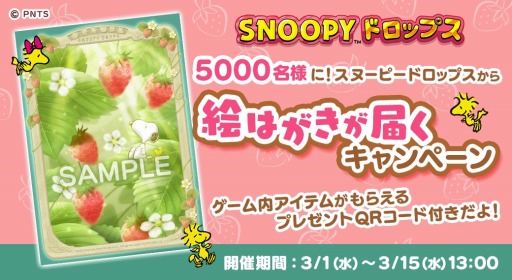 ꡼ No.001Υͥ / ̡֥ԡɥåץ5000̾˥̡ԡγϤϤڡ󳫺