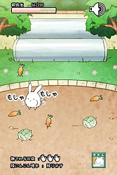 画像集#002のサムネイル/ウサギを進化させる育成SLG「これはうさぎですか?」スマホ向けに配信開始