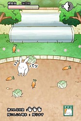 画像集#004のサムネイル/ウサギを進化させる育成SLG「これはうさぎですか?」スマホ向けに配信開始