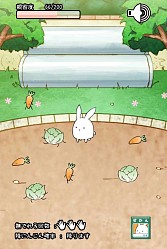 画像集#010のサムネイル/ウサギを進化させる育成SLG「これはうさぎですか?」スマホ向けに配信開始