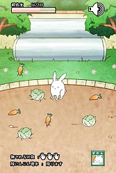 画像集#011のサムネイル/ウサギを進化させる育成SLG「これはうさぎですか?」スマホ向けに配信開始