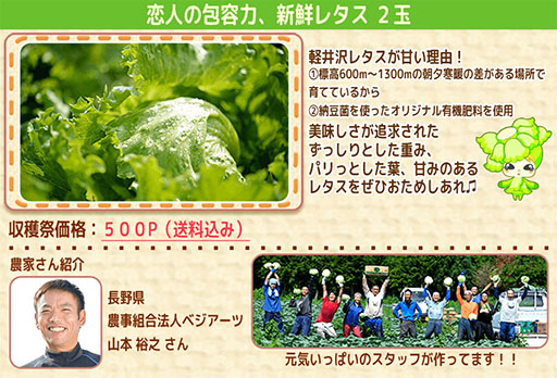 画像集#002のサムネイル/「畑っぴ」,本物のレタスを入手できるセールを9月3日のメンテ開始まで開催
