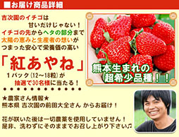 画像集#001のサムネイル/「畑っぴ〜里山くらし〜」,いちご“紅あやね”を抽選でもらえるイベントが開催中