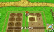 ꡼ No.005Υͥ / ֥ݥݥҾʪڤŤưʪäʤɡΩҾ饤դκǿ󤬸