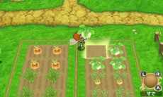 ꡼ No.006Υͥ / ֥ݥݥҾʪڤŤưʪäʤɡΩҾ饤դκǿ󤬸