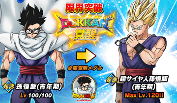 ꡼ No.010Υͥ / ֥ɥ饴ܡZ ɥåХȥסW DOKKANեɤ˥ƥå¹ӡԥå(ǽϲ)о