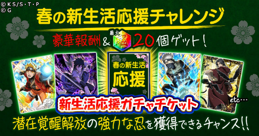 ꡼ No.005Υͥ / ֥ʥ륳ץʡ֡бԡۤо