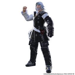 ���������꡼ No.041�Υ���ͥ������ / ��E3 2015�ϡ֥ե����ʥ�ե��󥿥���XIV����ŷ�Υ����奬��ɡפ��о줹�뿷�����ʤɤ���ǧ�Ǥ���ǿ����������