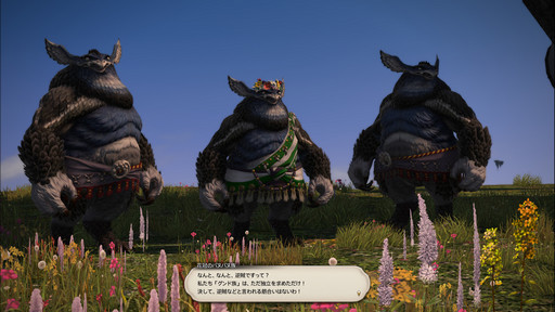 画像ギャラリー No.015のサムネイル画像 / コンテンツの最前線に追いつこう。「ファイナルファンタジーXIV」復帰ガイドを掲載