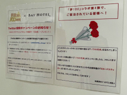 ꡼ No.019Υͥ / ̴100ס֥ס߽ոBAY HOTELܤθݡȤ