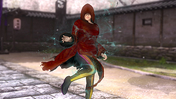 ���������꡼ No.012�Υ���ͥ������ / �ޤ�����2Ϣ���ʥ������ƥ��å��դ���DOA5��Last Round����ܤΥ��������HORI��ȯɽ