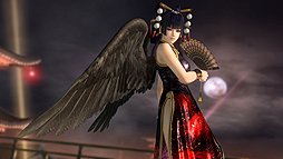 ���������꡼ No.013�Υ���ͥ������ / �ޤ�����2Ϣ���ʥ������ƥ��å��դ���DOA5��Last Round����ܤΥ��������HORI��ȯɽ